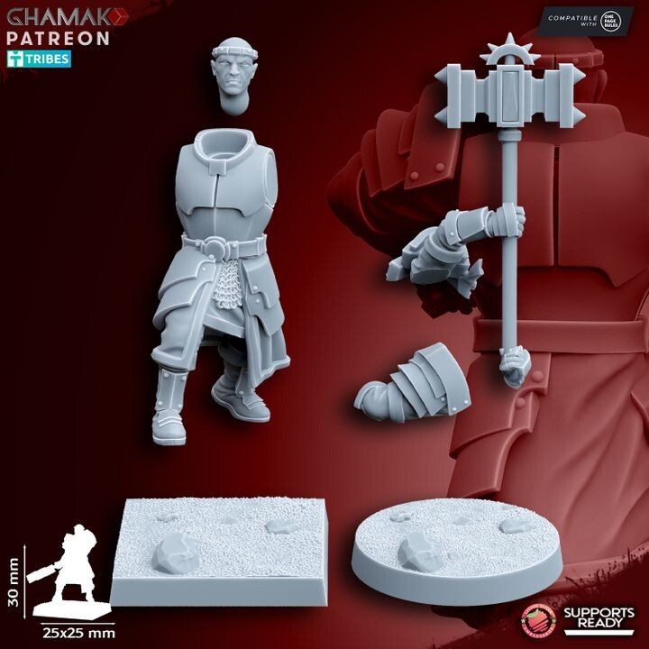 Priest of Grimwald   avec les socles