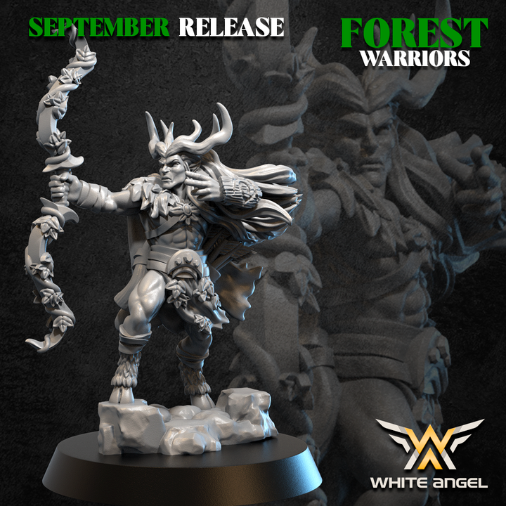 champion elfes sylvain