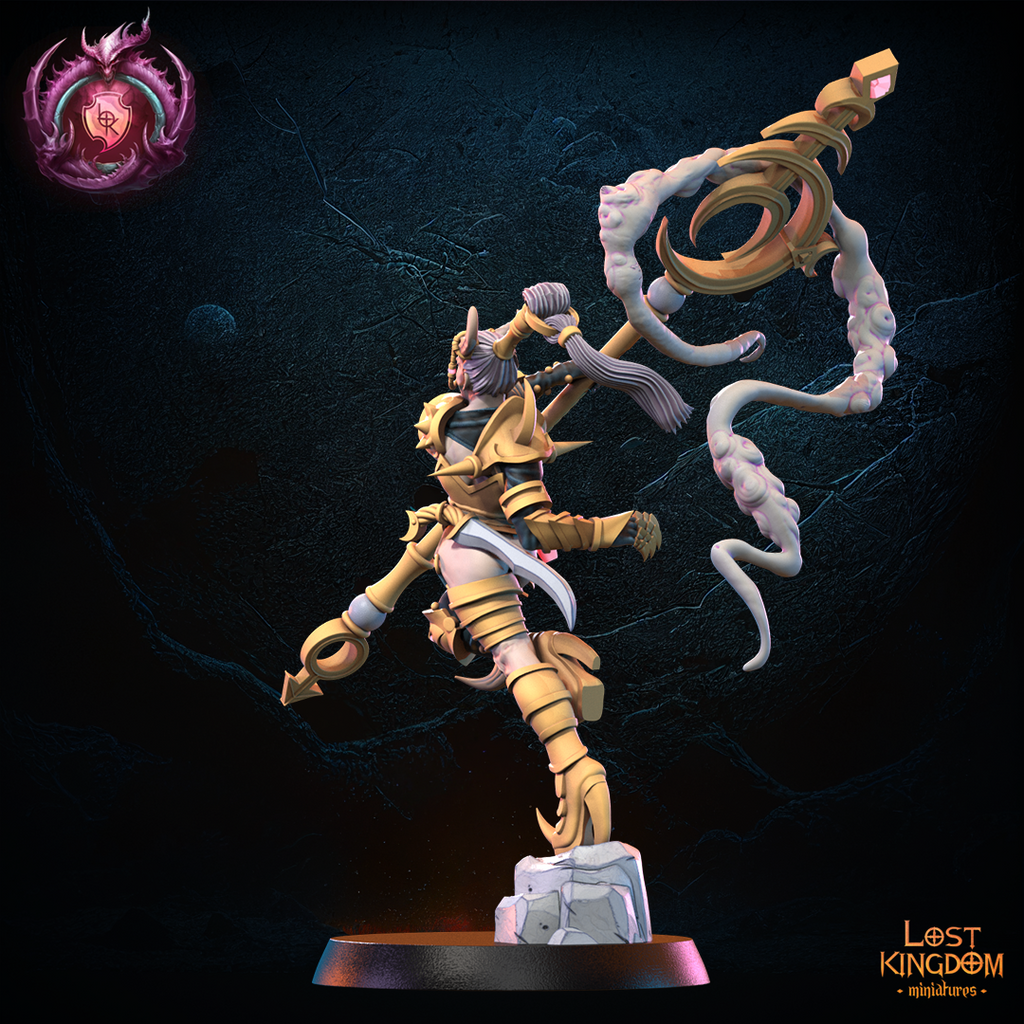 sorcier du chaos 