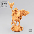 sorcier sur pegase de  l'empire 10mm