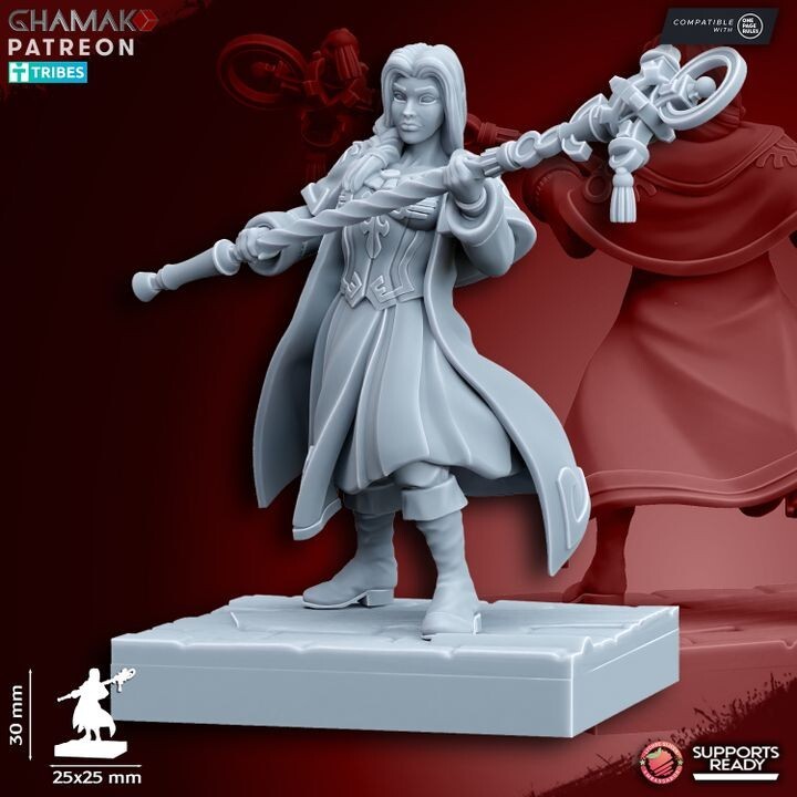 Sunev Wizard on foot avec les socles