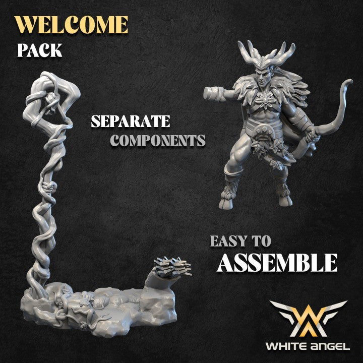 PRINCE OF THE FOREST