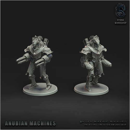 2 anubian machin