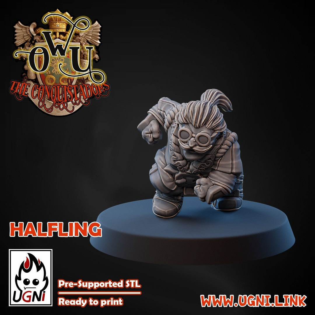 upgrade halfling  2 figurines equipe humaine Fantasy Football