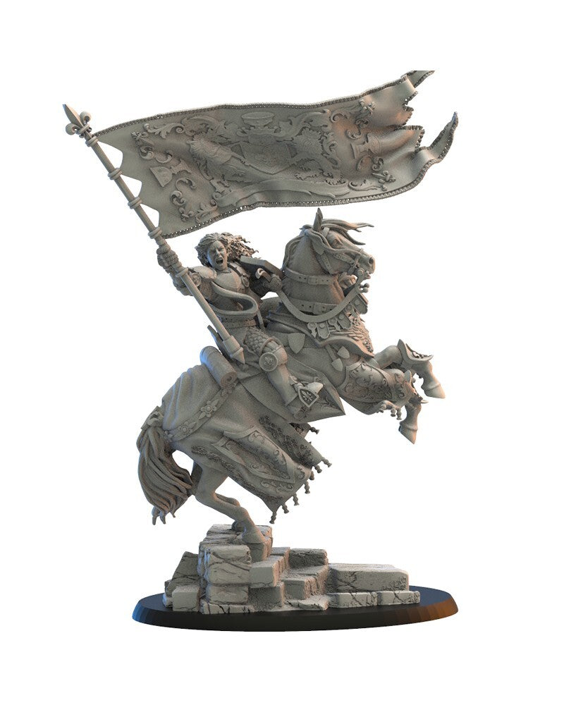 grande banniere compatible bretonnian