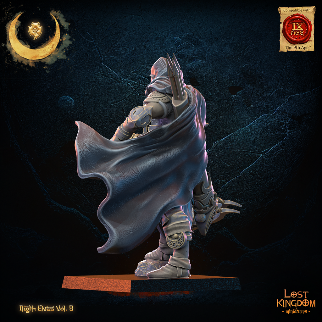 seigneur elfes noires 