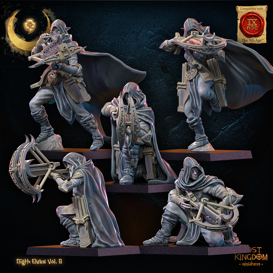 5 arbaletriers elfes noires 