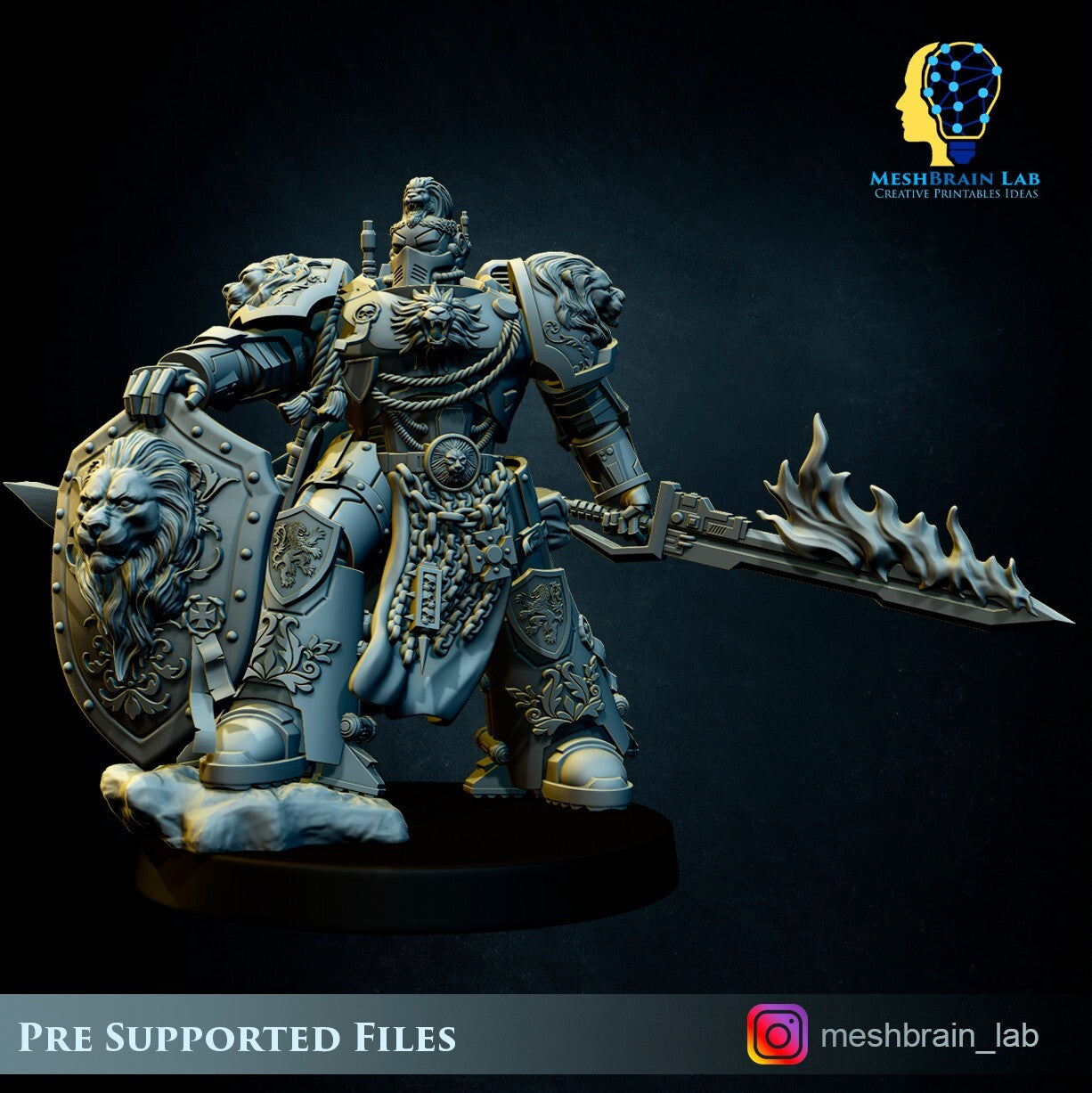Imperial Marine Master of the order 