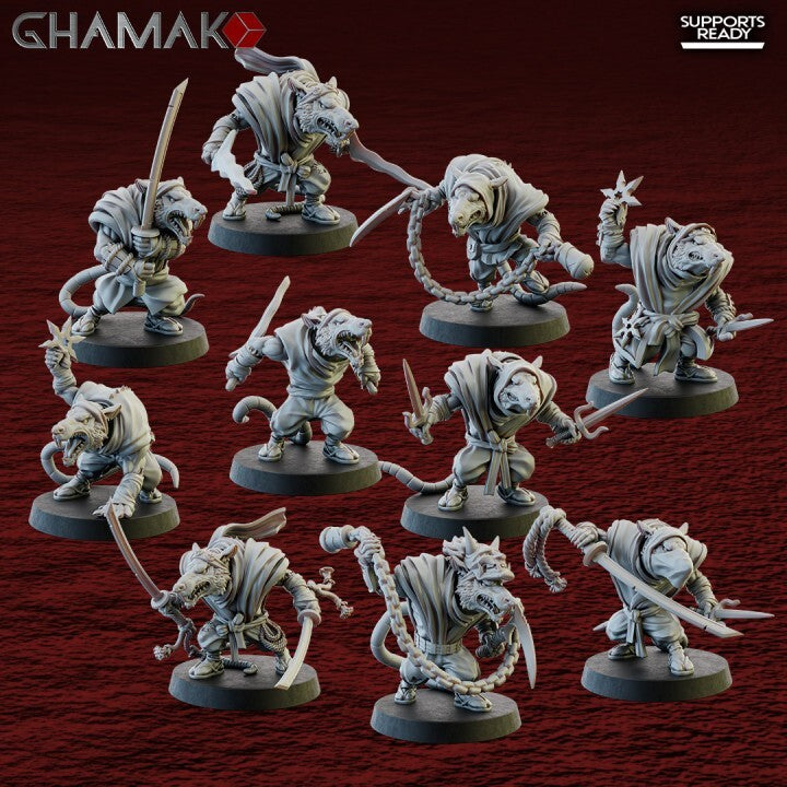 Ninja Rats homme rats