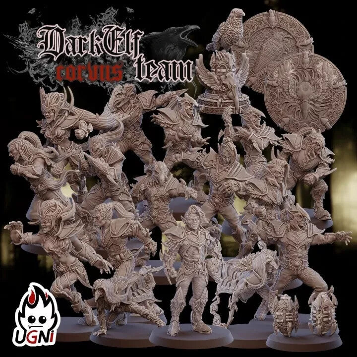 Dark Elf Team/ equipe elfes noires - Fantasy Football