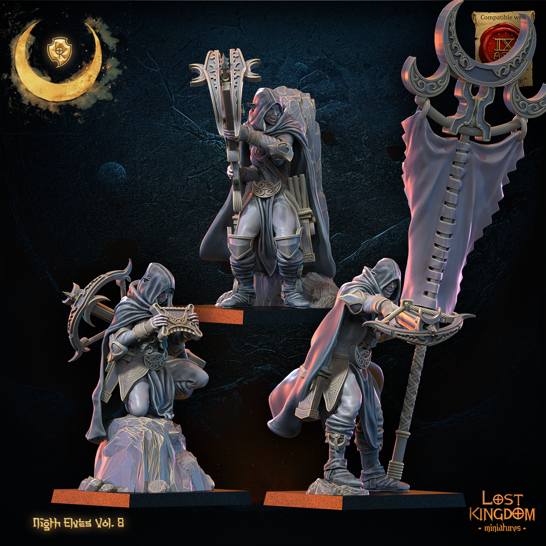 etat majors elfes noires