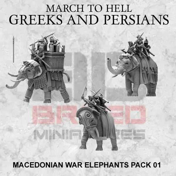 3 elephants de guerres macedonian 15mm