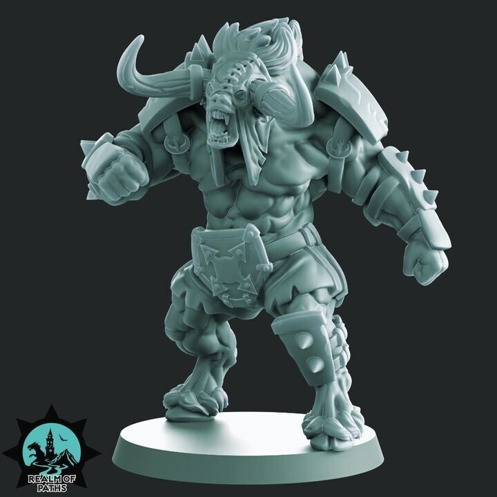 Grak Grak DarkHoof minotaure star player nain du chaos Fantasy Football   