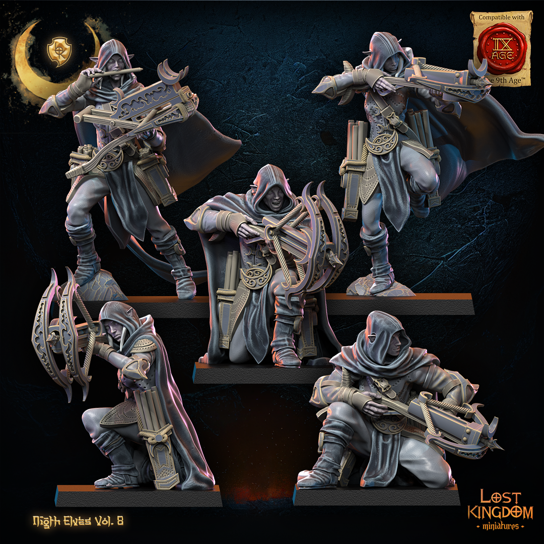 5 arbaletriers elfes noires 