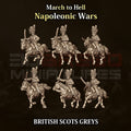 scots grey britannique 15MM