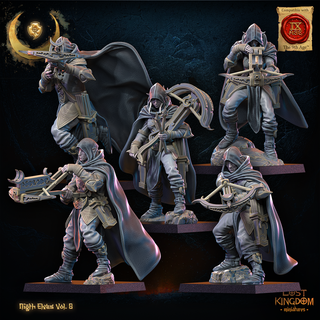 5 arbaletriers elfes noires