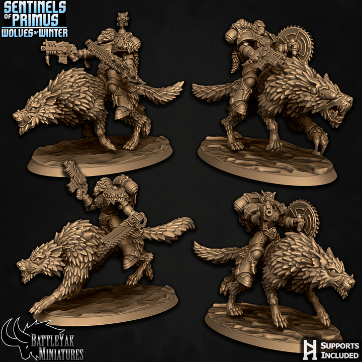 escouade viking wolfrider