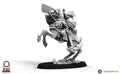 Officer cavalerie garde imperial 