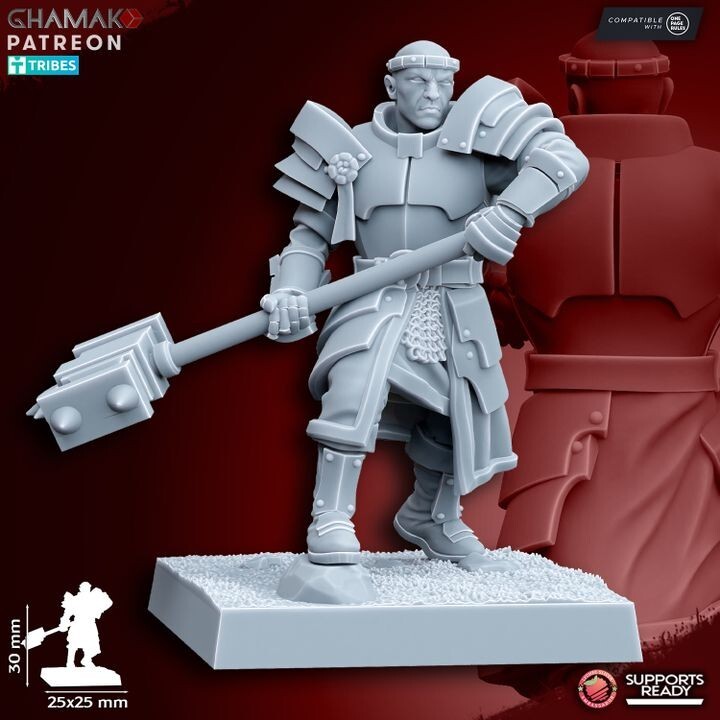 Priest of Grimwald   avec les socles