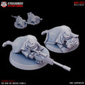 equipe sniper garde imperial shi gun tai 