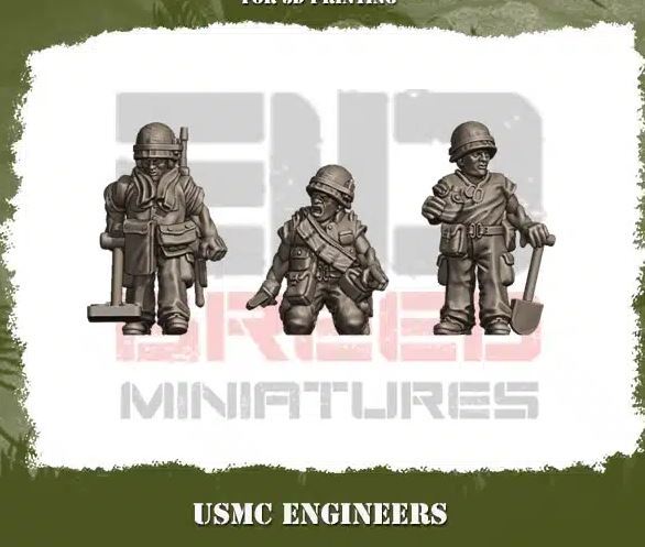 USMC VIETNAM ENGINEERS