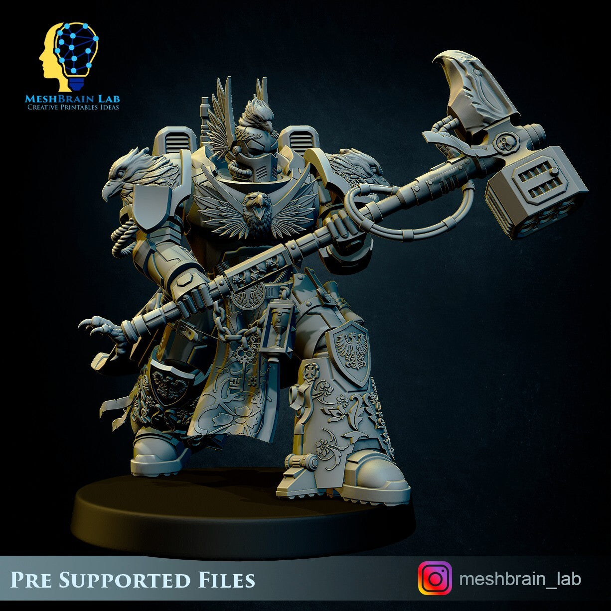 Imperial Marine Master of the order c