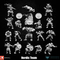 equipe norsemen football fantasy