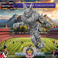 stars player tumulus garde