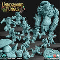 UNDERGROUND FUNGUS PART 1