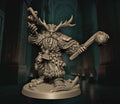 druide nain