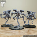 gore reavers